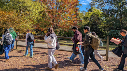 Visitors walk along a wood fence